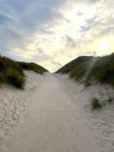 Einfühlsame Traumatherapie in Berlin – professionelle psychotherapeutische Begleitung bei Trauma, PTBS und Missbrauch.